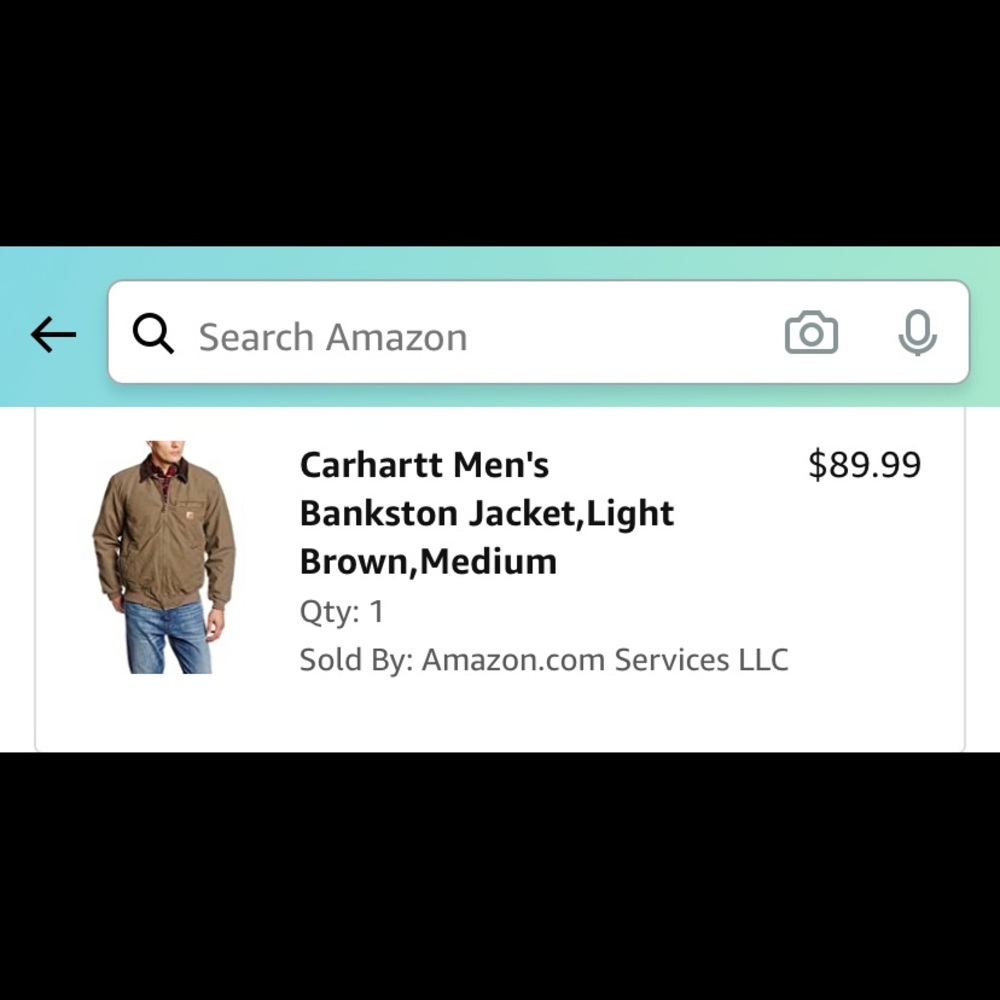 Carhartt Mens Bankston Coat